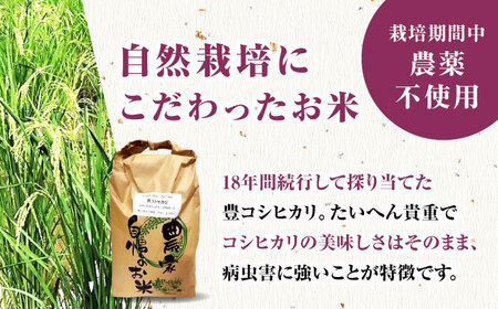 栽培期間中農薬不使用 令和6年産 豊コシヒカリ 玄米 10kg /鶴ノ原北川農園 [UDL016] 米 お米 こめ 玄米 ブランド米