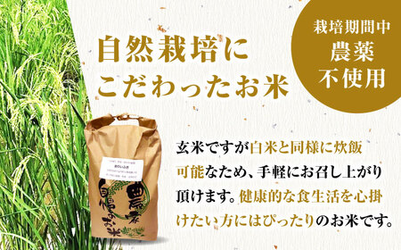 栽培期間中農薬不使用 令和6年産 金のいぶき 玄米 20kg /鶴ノ原北川農園 [UDL023] 米 お米 こめ 玄米 ブランド米