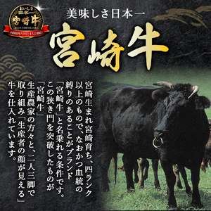 【人気鉄板焼き店厳選】熟成宮崎牛A4等級霜降り・赤身焼肉食べ比べセット 1kg　オリジナルソース付き（国産 牛肉 黒毛和牛 宮崎牛 焼肉 すき焼き 赤身 霜降り 特製タレ付き） 焼肉 和牛焼肉 牛肉焼肉 赤身焼肉 国産焼肉