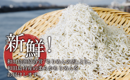 しらす 釜揚げ 500g 250g×2パック）冷凍 小分け 漁協直送 しらす丼 丼ぶり 魚 ご飯 お取り寄せ グルメ 人気 おすすめ やわらか ちりめん ※北海道、沖縄、離島への配送 