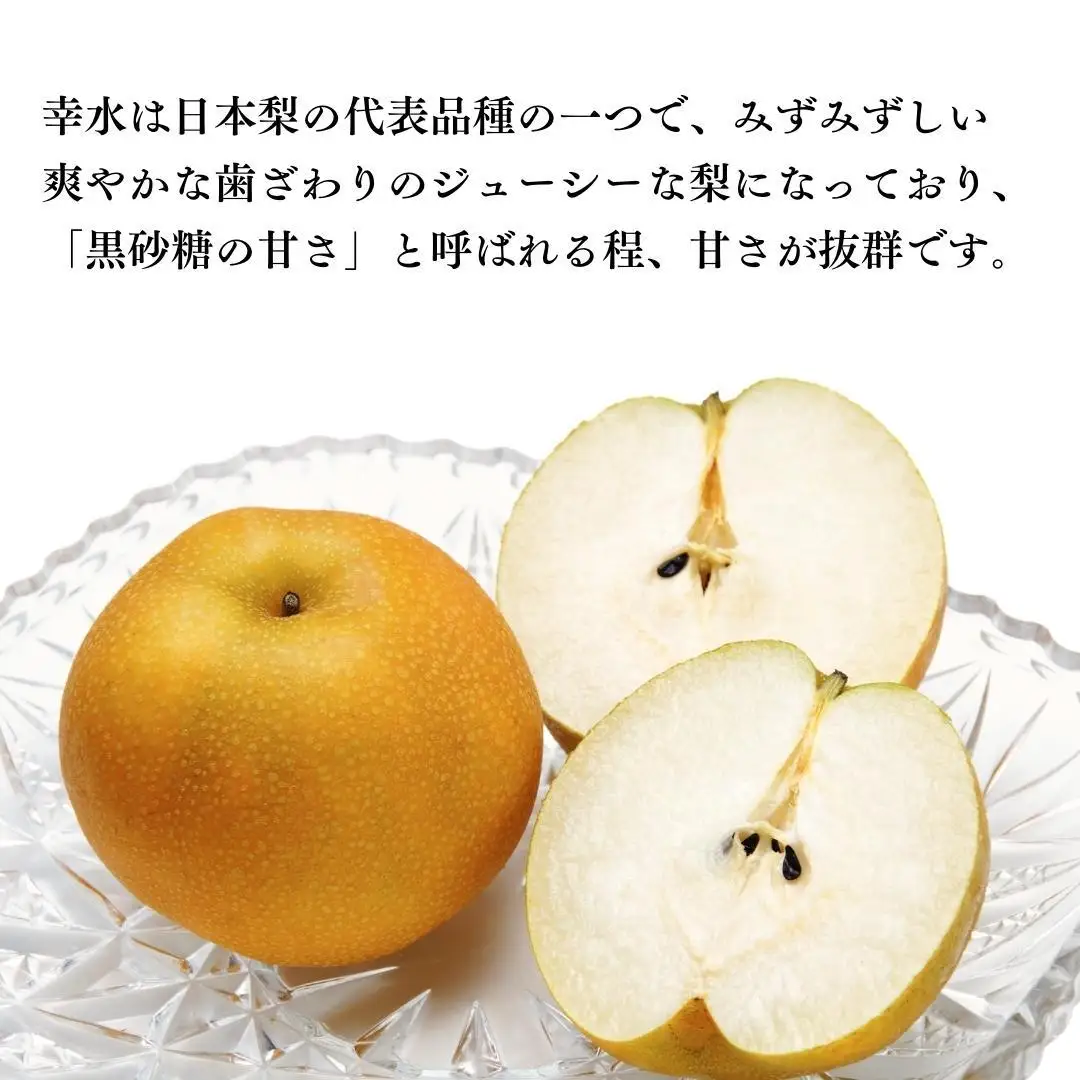 【2026年8月中旬発送開始】 茨城県産 梨 「 幸水 」 約 5kg 12玉 ～ 16玉 【茨城県共通返礼品／常陸太田市】 桧山果樹園 農家直送 フルーツ 甘い 直送 茨城 限定 ギフト 梨 幸水 こうすい 果物 [DU002sa]