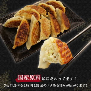 【定期便全4回 】餃子 シュウマイ 詰め合わせ 冷凍
