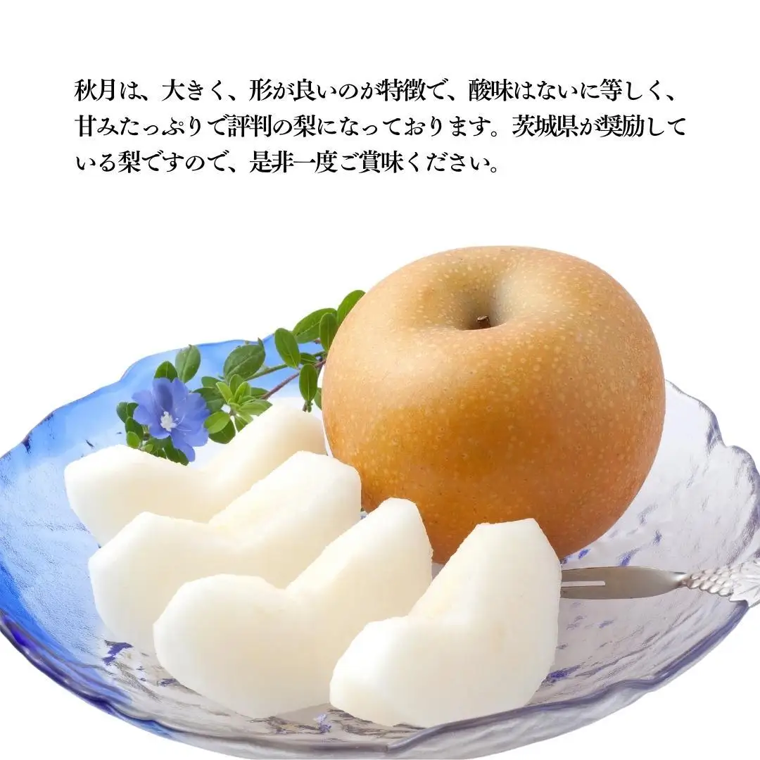 【2026年9月中旬発送開始】 茨城県産 梨 「 秋月 」 約 3kg 5玉 ～ 7玉 【茨城県共通返礼品／常陸太田市】 桧山果樹園 農家直送 桧山果樹園 農家直送 フルーツ  甘い 直送 茨城 限定 ギフト 梨 秋月 あきづき 果物 [DU009sa]
