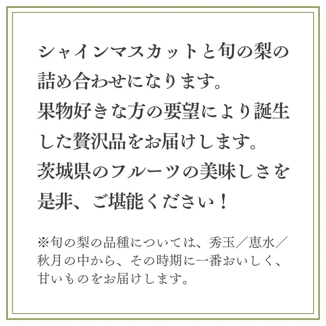【2026年9月上旬発送開始】 茨城県産 「 シャインマスカット １房 」と「旬の 梨 」 詰め合わせ 約 3kg 【茨城県共通返礼品／常陸太田市】 桧山果樹園 農家直送 桧山果樹園 農家直送 フルーツ  甘い 直送 茨城 限定 ギフト ぶどう シャインマスカット 旬 梨 秀玉 恵水 秋月 詰め合わせ 食べ比べ 果物 [DU011sa]