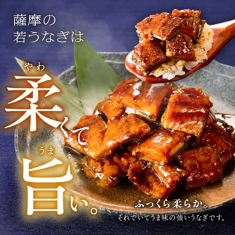  2127 鹿児島県産 きざみ うなぎ蒲焼 5袋 KN058-001-01 魚 冷凍 鰻