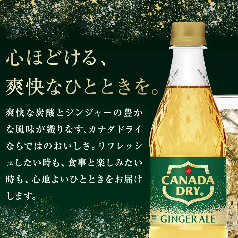 カナダドライ ジンジャーエール 500mlPET×24本×3箱　【11100-0571】リフレッシュ 炭酸飲料 ケース 箱買い まとめ買い 備蓄 飲料 ソフトドリンク ギフト ふるさと納税 さいたま市 常備 差し入れ 景品 詰め合わせ 炭酸 人気 子供 おすすめ シャンディガフ 刺激 気分爽快 料理 