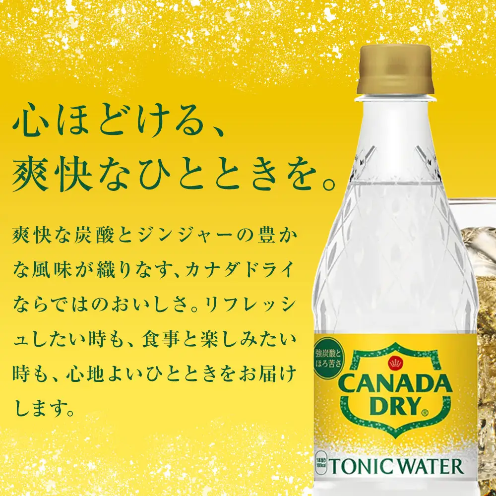 カナダドライ トニックウォーター 500mlPET×24本×2箱　【11100-0573】炭酸 無糖 ほどよい苦味 シトラス 割りもの 大人 ケース 箱買い まとめ買い 備蓄 飲料 ソフトドリンク ギフト ふるさと納税 さいたま市 常備 差し入れ 景品 人気 おすすめ