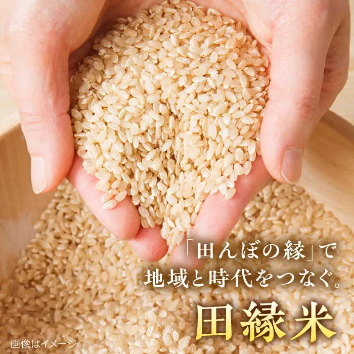 【先行受付中】 田縁米（でんえんまい）・天日（てんじつ）玄米 2kg 【2026年12月上旬順次発送】 糸島市 / NPO法人田縁プロジェクト [ATM002] 米 お米