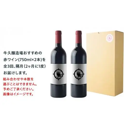 【 3ヶ月隔月 】 赤ワイン おまかせ 定期便 2本セット 飲み比べ 茨城県産 牛久醸造場 厳選 750ml × 2本