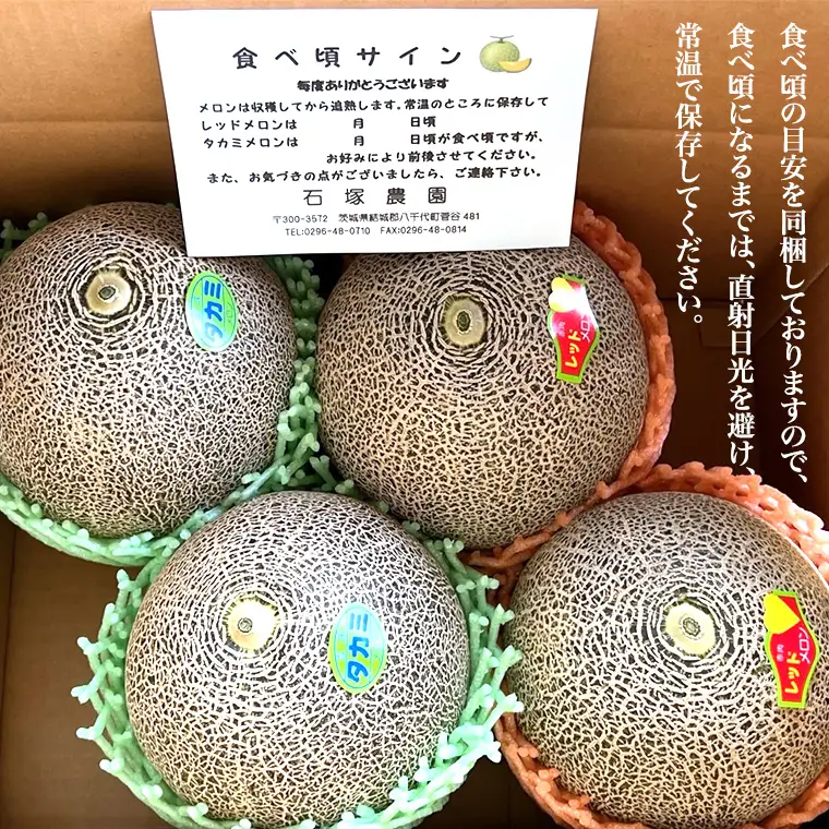 タカミレッド（赤肉）・タカミメロン（青肉）食べ比べ 2色 セット 合計4玉入り（約5kg～7kg）【2027年6月上旬以降発送】  期間限定 産地直送 農家直送 果物 フルーツ メロン タカミ たかみ 貴味 レッド 甘い 4玉