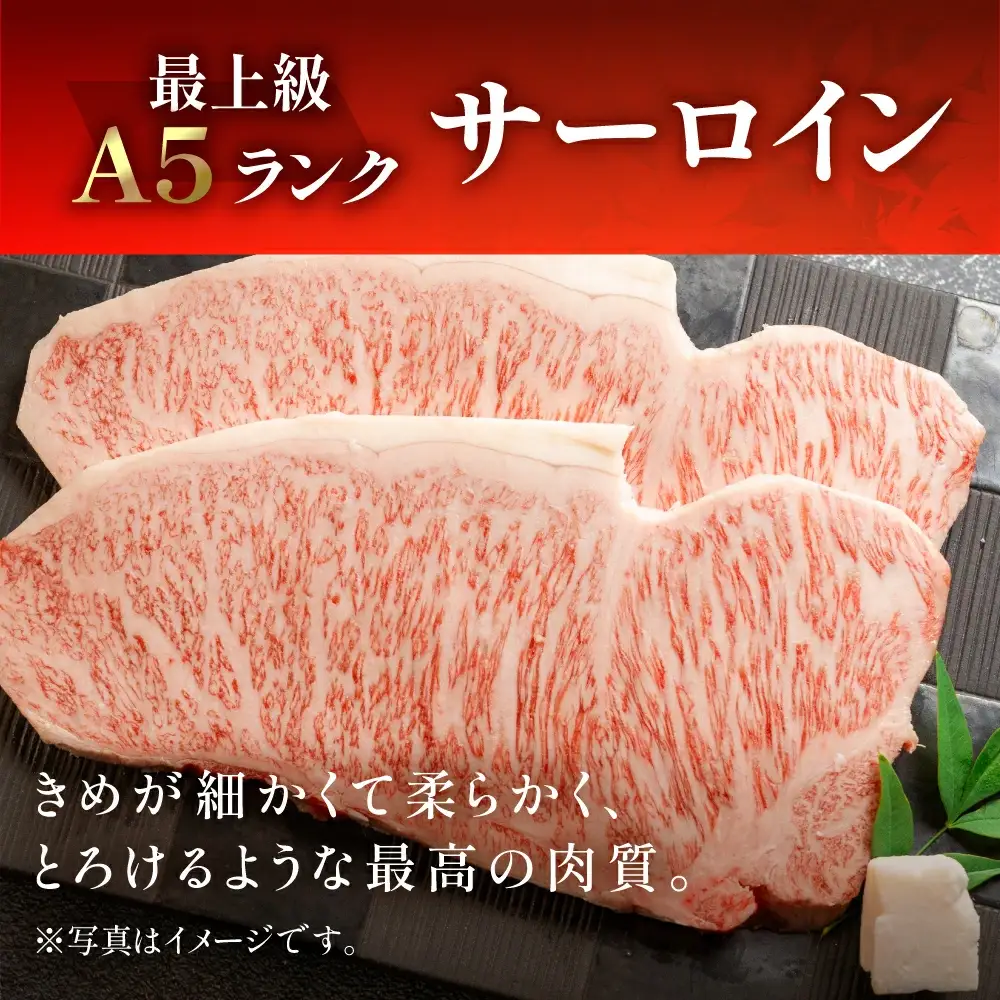 飛騨牛 サーロインすき焼き 730g【11-1007】