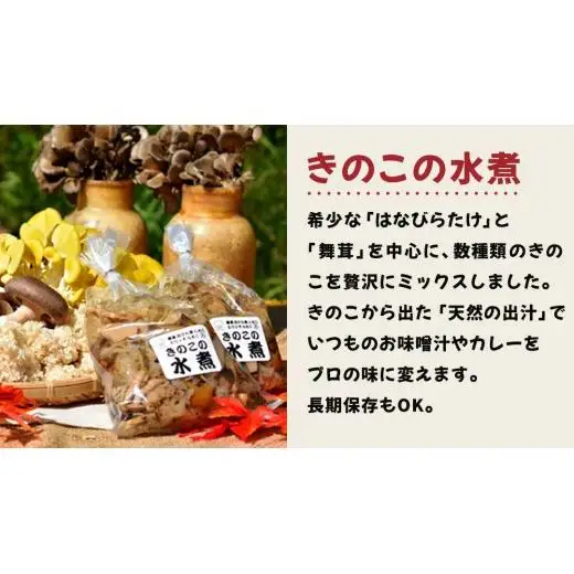 きのこ の 加工品 詰め合わせ 5点セット （茨城県共通返礼品：城里町）