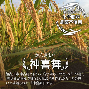 神喜舞 お米(玄米) お酒セット（720ml×1本）《 米 おこめ 国産 ヒノヒカリ 玄米 お酒 真吟精米 神喜舞 家飲み 宅飲み ふるさと納税 日本酒 送料無料 》【2501F08401】