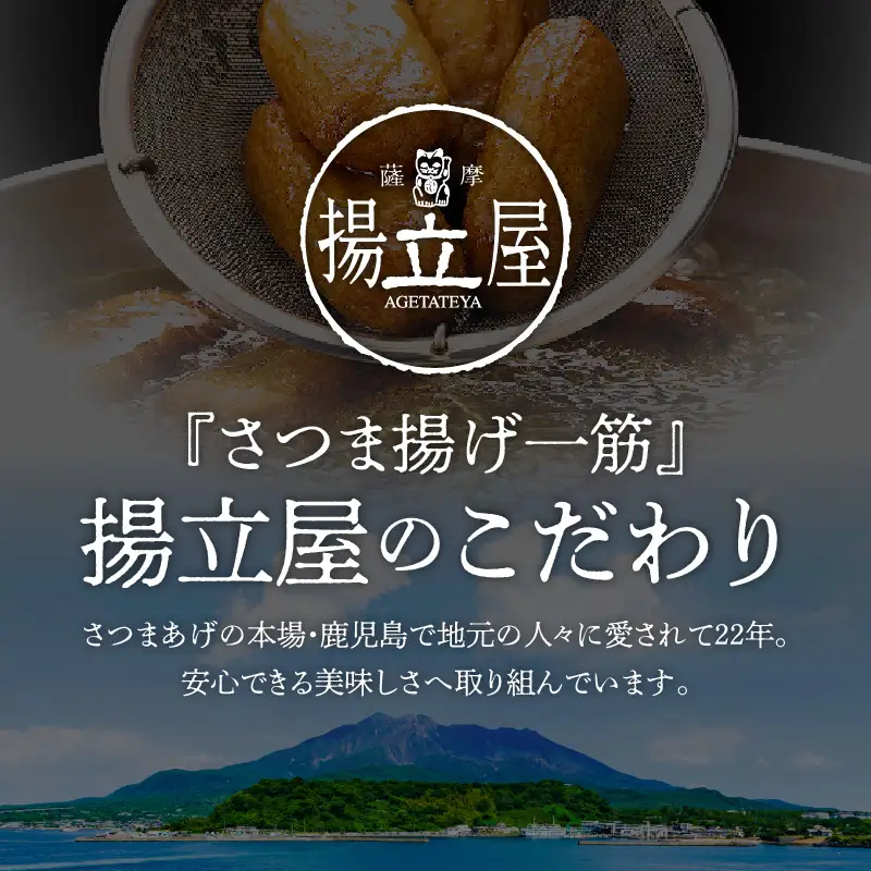 【5営業日以内に発送】 揚立屋 さつまあげ ふるさと便 チーズ入り K197-004 スピード配送 最短 すぐ届く お急ぎ