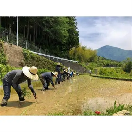 ときがゆったり流れてる「十津川　谷瀬」の地酒!季節限定【生酒・火入れ】720ml　各1本【配送不可地域：離島】【1226649】