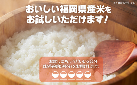 【令和5年度米】福岡県 大木町産のお米 夢つくし 白米 真空パック お試し2合 300g 福岡県 大木町 株式会社田中米穀 BC09