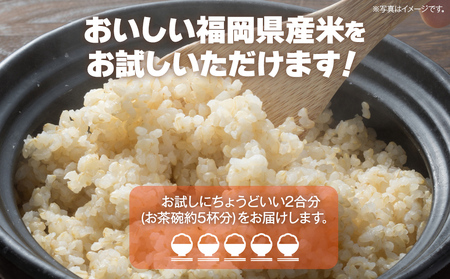 【令和5年度米】福岡県 大木町産のお米 元気つくし 玄米 真空パック お試し2合 300g 福岡県 大木町 株式会社田中米穀 BC08_gm