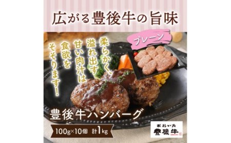 豊後牛ハンバーグ1kg(プレーン) _1201R