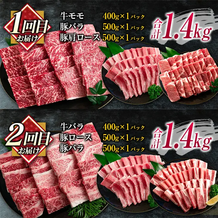 数量限定 6か月 お楽しみ 定期便 宮崎牛 豚肉 焼肉 セット 総重量8kg以上_N8-25