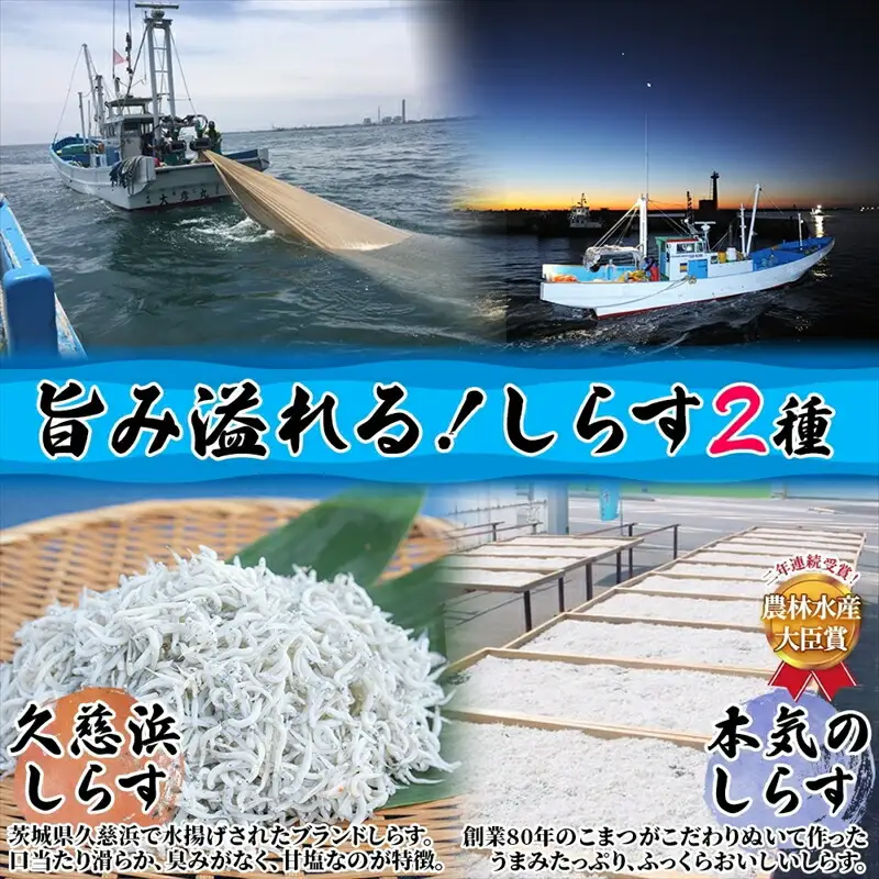 C-37 こまつ 久慈浜特選セット 本気のシラス 釜揚げ ちりめん 山椒 いかかば さば しらす丼 魚 魚介 海の幸 グルメ 人気 ギフト 贈り物 贈答品 食べ比べ 送料無料 小松水産 茨城県 日立市