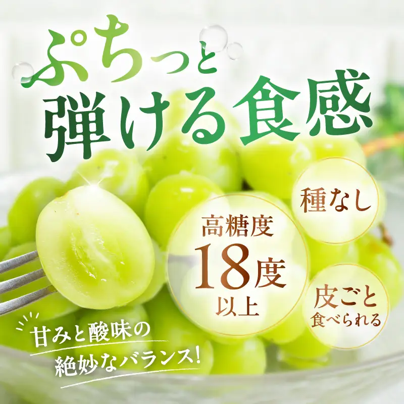 【 2026年先行予約 】【 桜島産 】シャインマスカット 1房 K261-001_01