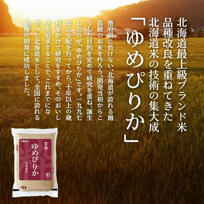 【令和7年産】（玄米3kg）ホクレンゆめぴりか SBTD069