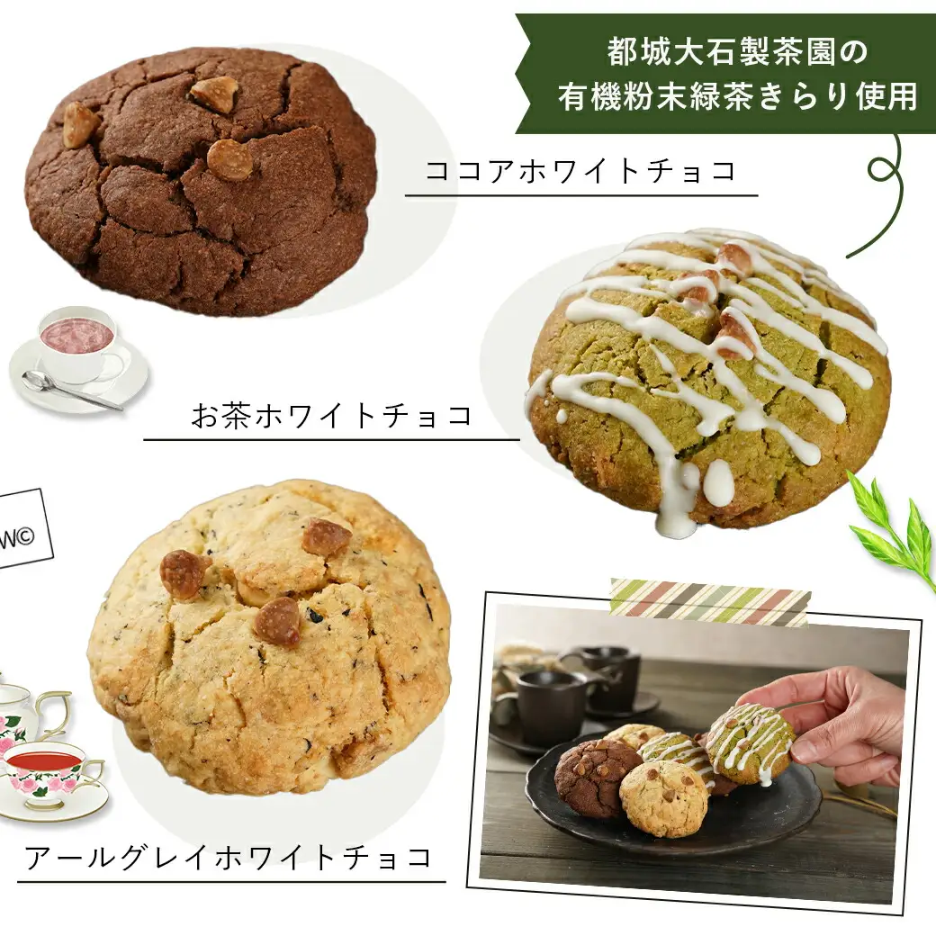 witty coffee☆スコッキー〔LD-L403〕_(都城市) 桃太郎卵 クッキー×スコーン ハイブリッドスイーツ やみつき コーヒー お茶 大石製茶園 有機粉末緑茶きらり WITTY COFFEE