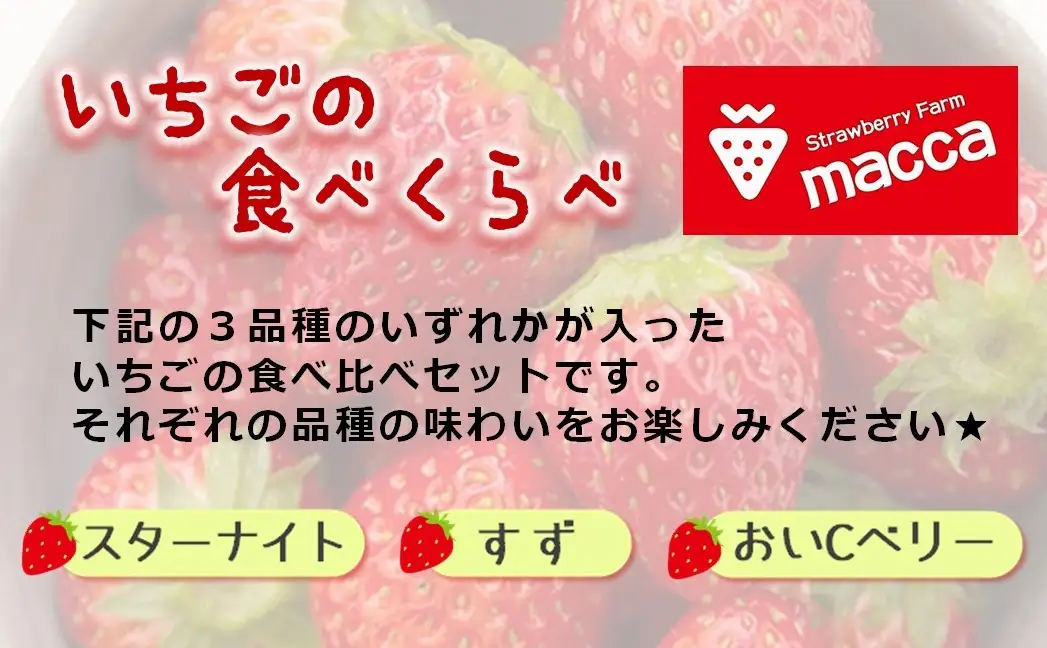 《2027年産先行予約》「西脇市産いちご食べくらべセット」令和９年１月上旬配送分（1箱4パック）【いちご畑macca】「ひょうご推奨ブランド」認証