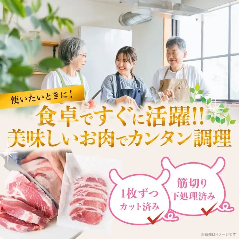 ≪宮崎ブランドポーク≫ロース(トンテキ・とんかつ用)計500g 肉 豚 豚肉 国産_T023-0105