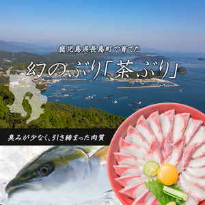 どん薩摩の黄金だし『茶ぶり＆黒豚』しゃぶしゃぶセット(2～3人前)【株式会社Never Land】never-7265