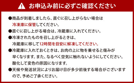 ごちそう九州牛 ハンバーグのジュー 10個入り