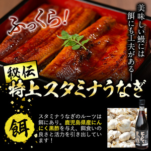 【訳あり】鹿児島県産！秘伝のスタミナうなぎ蒲焼き＜計800g以上/5尾以上＞肝吸いセット！ にんにく黒酢パワーで丸々太った美味しい鰻！ うなぎ ウナギ 鰻 蒲焼き スタミナ 黒酢 ニンニク 不揃い 鹿児島 肝吸い d0-038