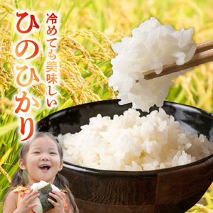 U15-T553_1_6_1 【定期便6回】＼先行予約☆新米☆／那須自然農園　MOA自然農法米「ひのひかり」白米5㎏ 新米 那須自然農園 全国環境保全型農業推進コンクール 優秀賞 安心 安全 お米 お取り寄せ 食品 お取り寄せ お取り寄せグルメ 送料無料 【熊本県宇土市】