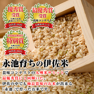 isa538 【定期便】令和6年産 特別栽培米 永池ひのひかり玄米(計30kg・10kg×3ヶ月)鹿児島 永池 お米 米 玄米 伊佐米 九州米サミット 食味コンテスト 最優秀賞受賞 ヒノヒカリ【エコファーム永池】