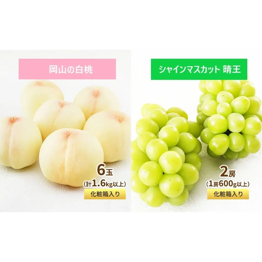 フルーツ定期便 岡山 桃・ぶどう・マスカット 岡山県産 フルーツ定期便【2回コース】【先行予約】