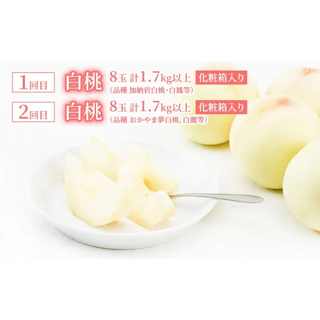 白桃 定期便 化粧箱入り 岡山県産 白桃【8玉 1.7kg以上×2回】【先行予約】