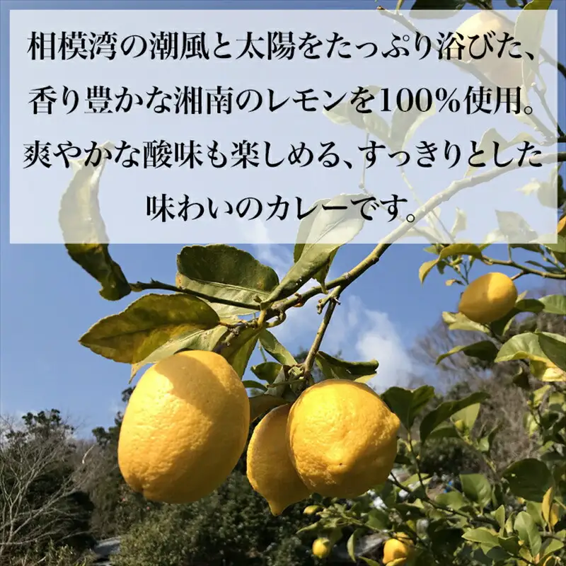 【100％湘南のレモン果汁を使ったカレー4食セット】相模湾の太陽と潮風が育んだ爽やかな味わいを、お手軽に楽しめます！！ 【 カレー 神奈川県 小田原市 カレー】