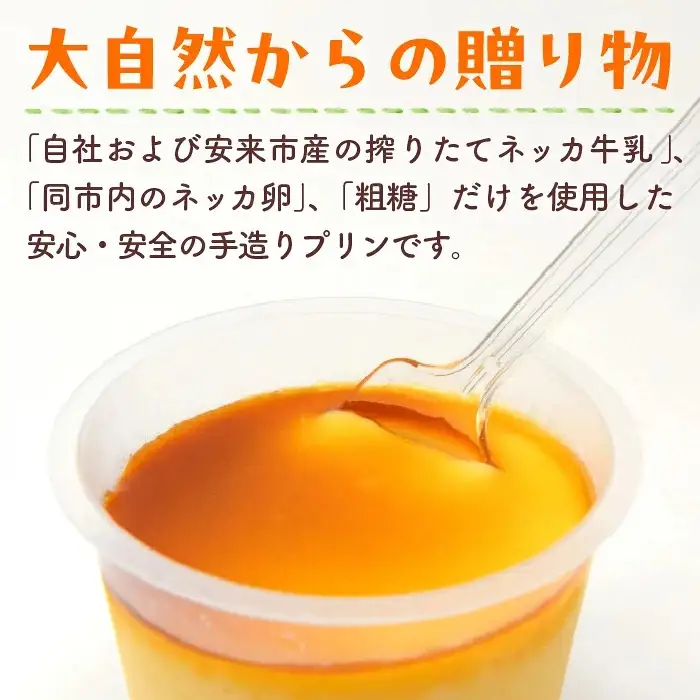 【テレビで紹介されました】手造りプリン6個セット／冷蔵 ネッカ牛乳 ネッカ卵 蒸しプリン ソース別 牧場 スイーツ おいしい ご褒美 おやつ 牧場 搾りたて グルメ お土産 自宅用 ギフト 贈り物 人気 テレビ TV 紹介 話題 島根県 安来市【06-WB-19】