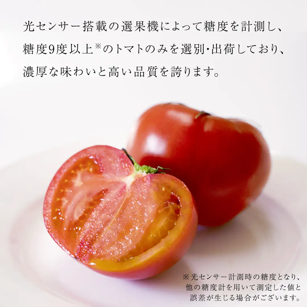 《 2027年 収穫分 》 スーパーフルーツトマト 小箱 約800g (7～13玉) ＆ 新鮮きゅうり 約20本 & PREMIUMドレたれ セット 糖度9度以上 先行予約 フルーツトマト ブランドトマト 野菜 ギフト 贈答 [BC078sa]