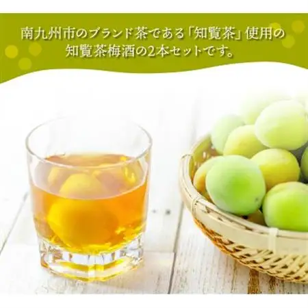 熨斗付き「上等梅酒知覧茶」720ml×2本【1186248】