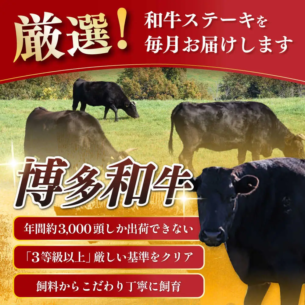  【3回定期便】博多和牛 [ABCL139] 牛肉 精肉定期便
