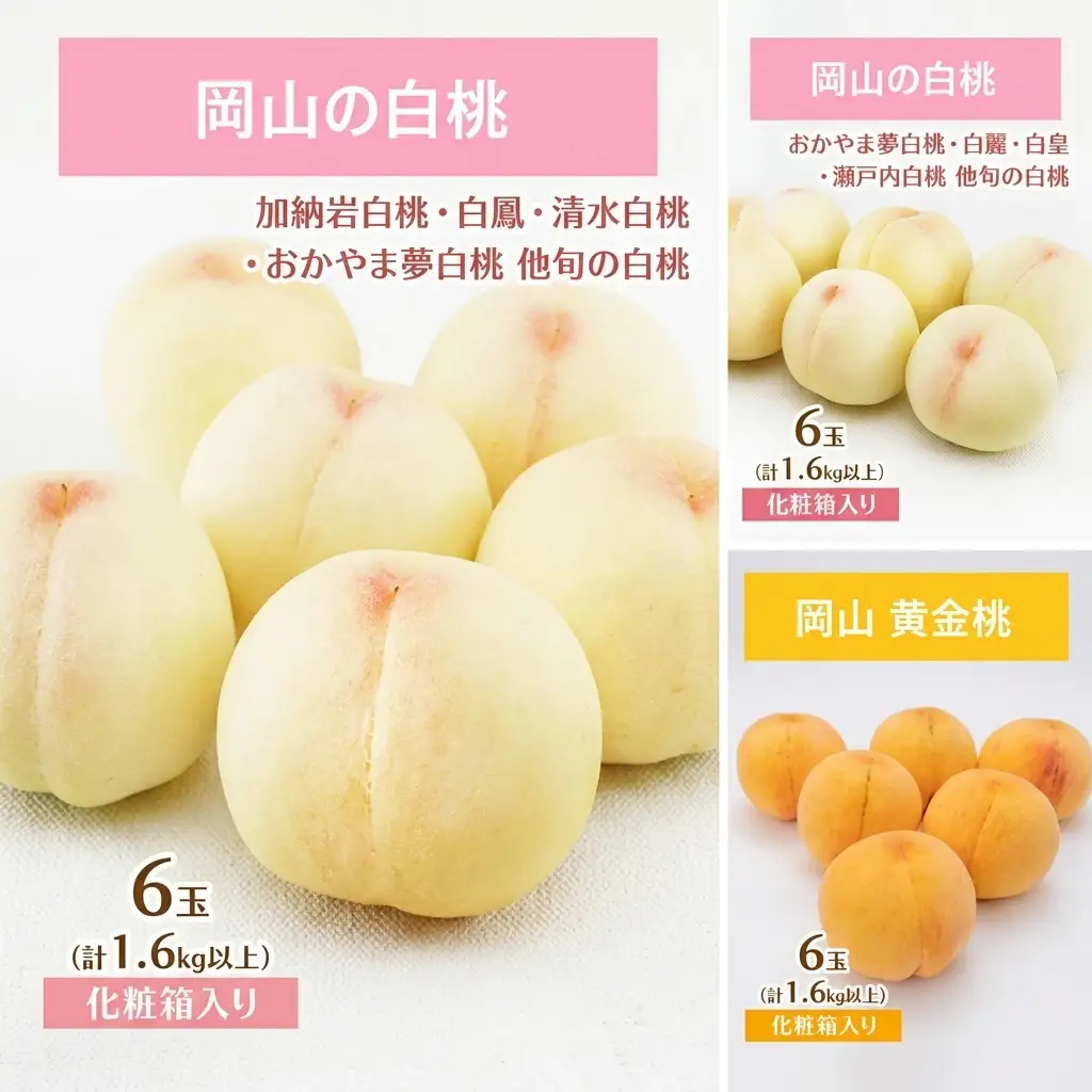 桃 定期便 食べ比べ 岡山県産 桃【3回コース】【先行予約】