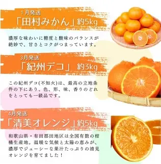 【全6回定期便】旬のフルーツ定期便 【田村みかん / 紀州デコ(不知火) / 清見オレンジ / 小玉スイカ / 桃 / ゆら早生みかん】 ～和歌山の旬をお届け～ / みかん ミカン 温州みかん 有田みかん 不知火 デコポン 桃 もも モモ 柑橘 フルーツ 果物 くだもの 旬 人気 甘い 定期便  6回 全6回 6か月【uot050-syun6】