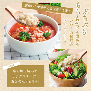 【3か月定期便】国産かけるだけもち麦50ｇ×10袋 防災 備蓄 保存 防災グッズ ストック 