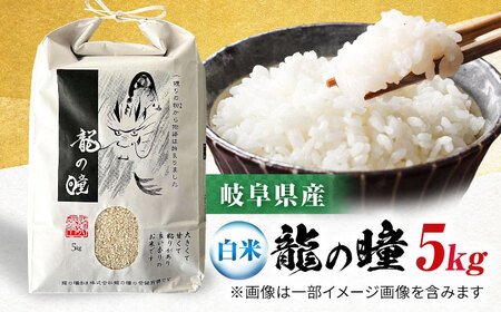 R6年度産 岐阜市産龍の瞳 5kg（白米） 大野食糧うまい米ショップ お米職人厳選 おいしいご飯 お米 コメ 5キロ 岐阜市/大野食糧 [ANDO005]