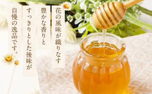 MINOKAMO HONEY はちみつ 1本（200g×1）