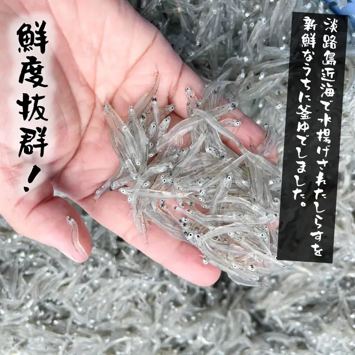 【訳あり】淡路島・藤本水産 しらす釜揚げ 業務用サイズ1kg入り　訳あり
