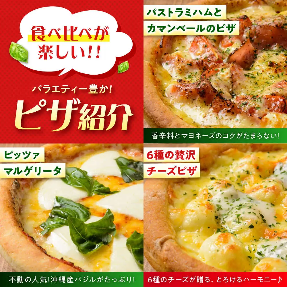 ピザ 11枚セット [BAEH009] ピザ