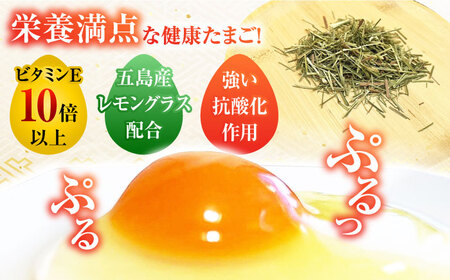 【ギフトBOX】平飼たまご ファイブエッグ M-Lサイズ 20個入 / 5EGG 卵 赤玉子五島市 / 五島列島大石養鶏場 [PFQ008]  玉子 タマゴ 鶏卵 希少 五島列島