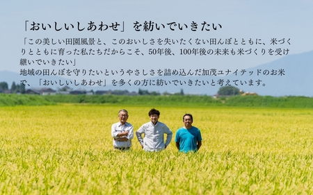 【令和8年産新米先行予約】新潟県産 新之助 精米 10kg（5kg×2袋）《10月上旬から順次出荷》